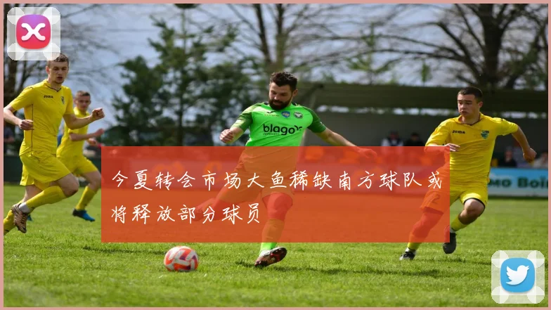 今夏转会市场大鱼稀缺南方球队或将释放部分球员
