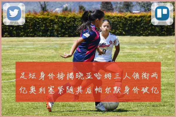 足坛身价榜揭晓亚哈姆三人领衔两亿奥利塞紧随其后帕尔默身价破亿
